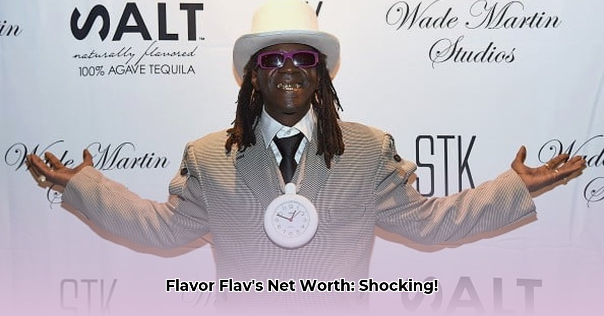 what-is-flavor-flav-net-worth